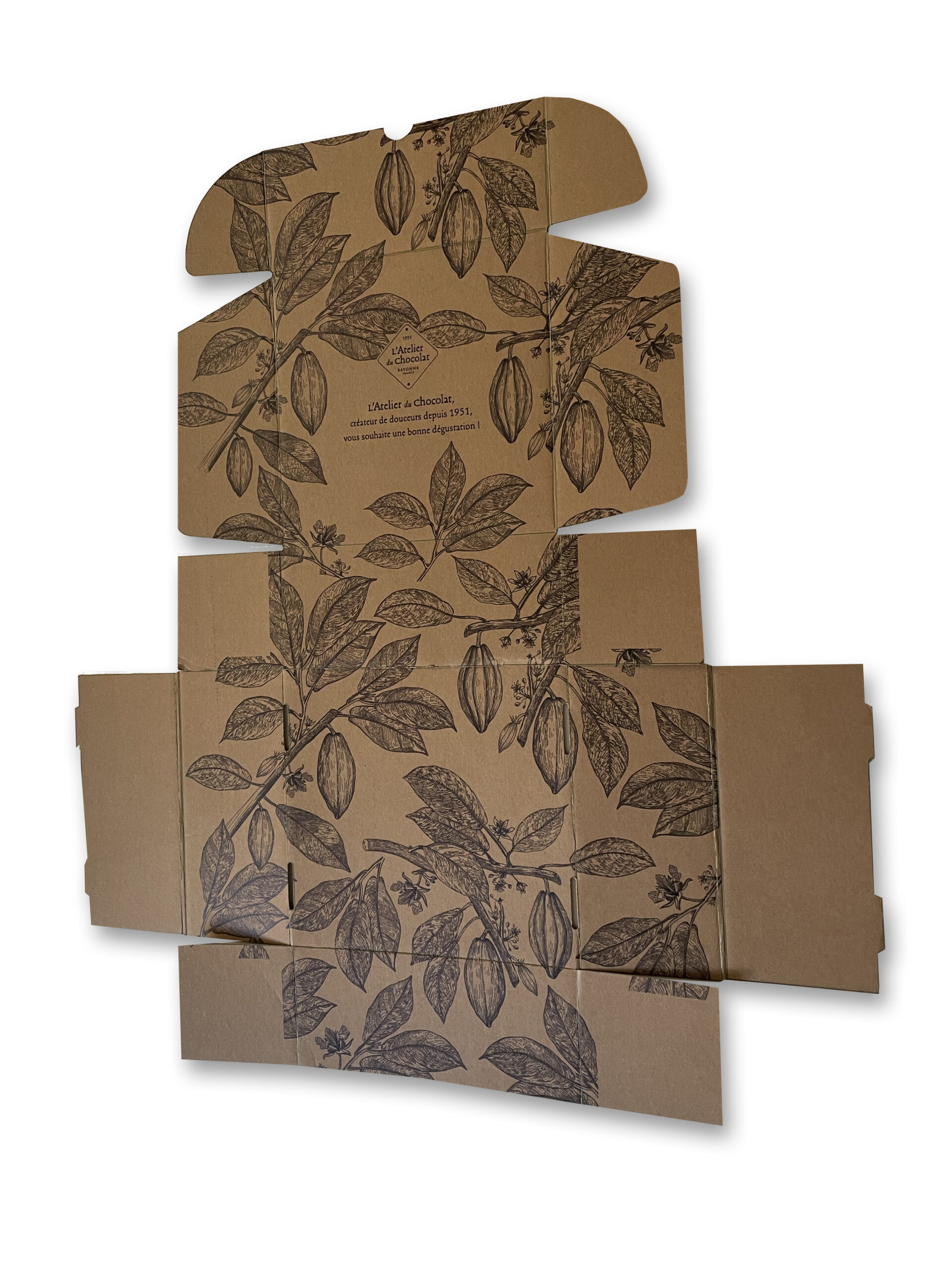 Fabricant boîte en carton Boîte E-commerce Personnalisée - Carton Brun Recyclé | Emballages Écologiques